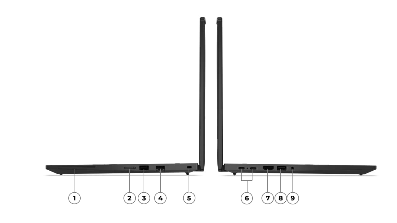 Beschreibung des Bildes